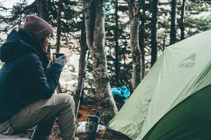 Into the Wild